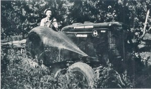  Photo courtesy Z's Orchard.